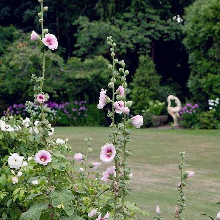 Karetu Downs Farm Stay Hawarden Bagian luar foto