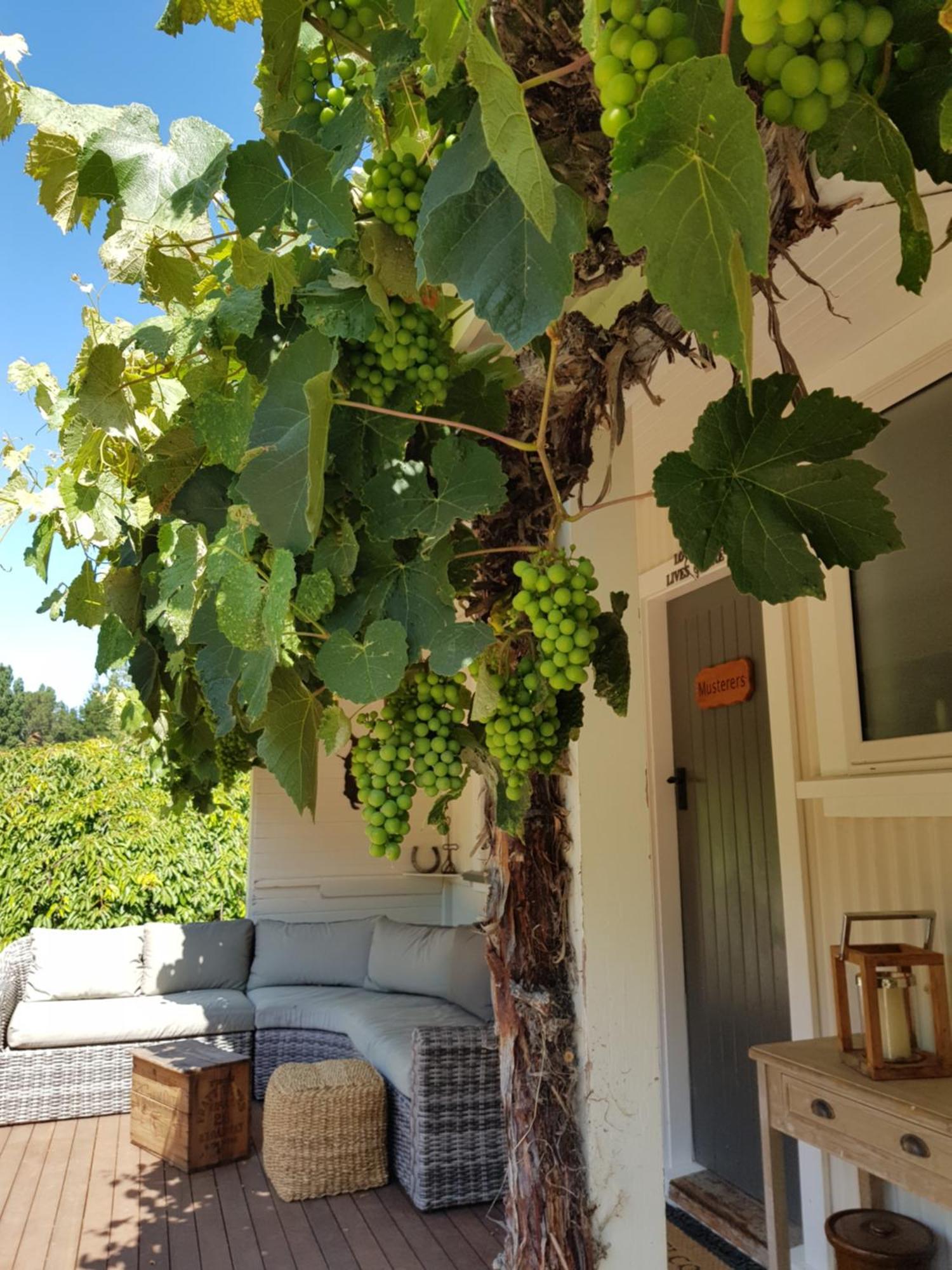 Karetu Downs Farm Stay Hawarden Bagian luar foto