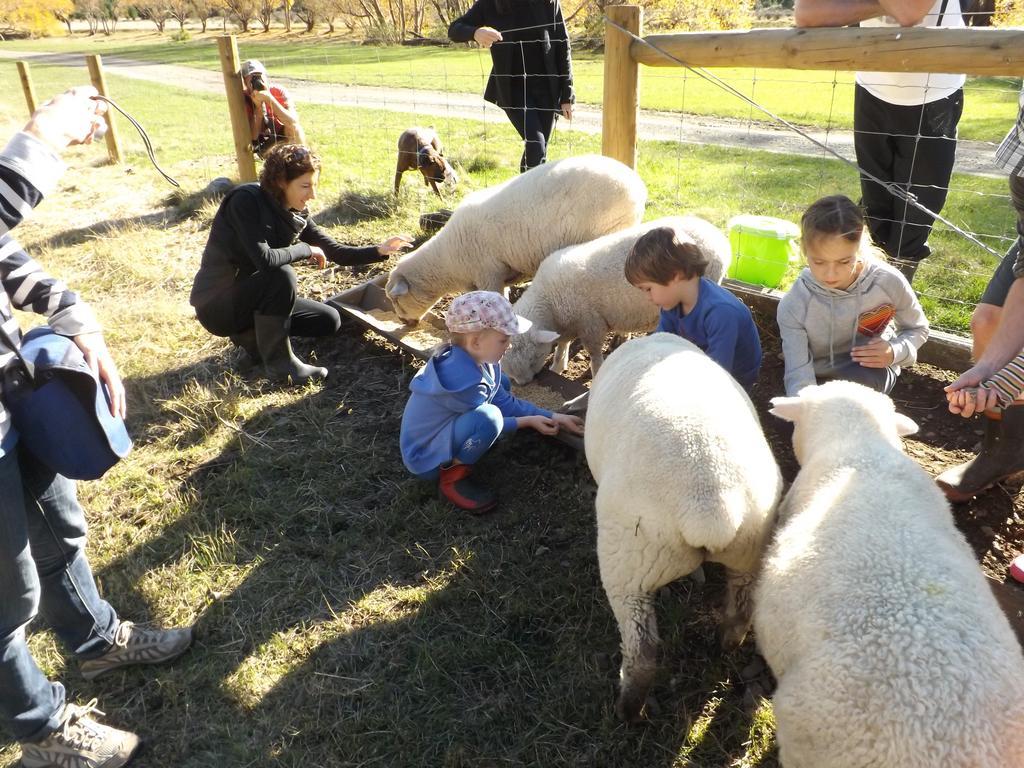 Karetu Downs Farm Stay Hawarden Bagian luar foto