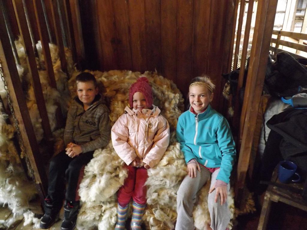 Karetu Downs Farm Stay Hawarden Bagian luar foto