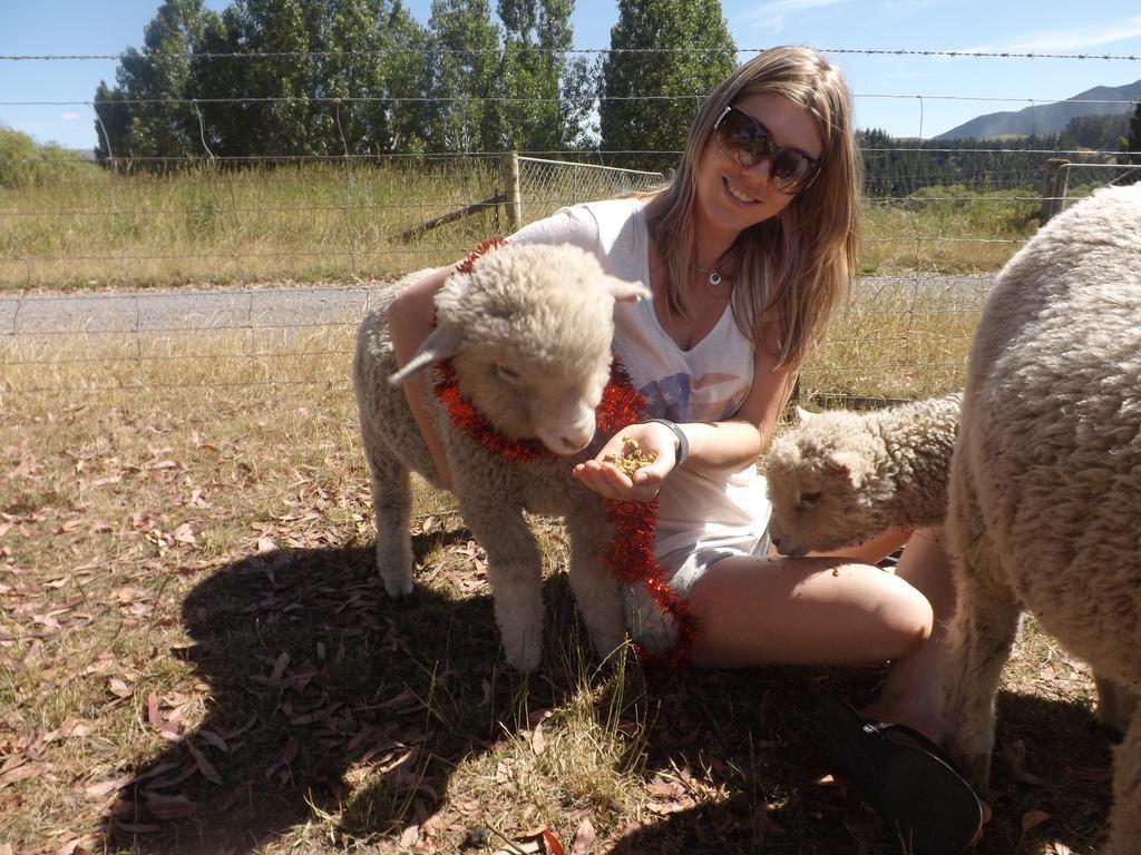 Karetu Downs Farm Stay Hawarden Bagian luar foto
