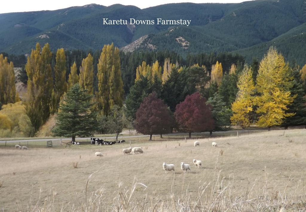 Karetu Downs Farm Stay Hawarden Bagian luar foto