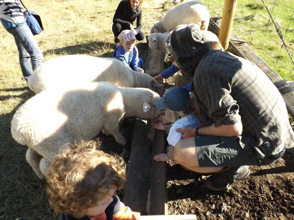 Karetu Downs Farm Stay Hawarden Bagian luar foto