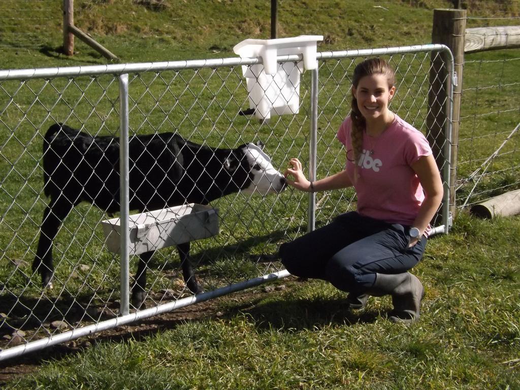 Karetu Downs Farm Stay Hawarden Bagian luar foto