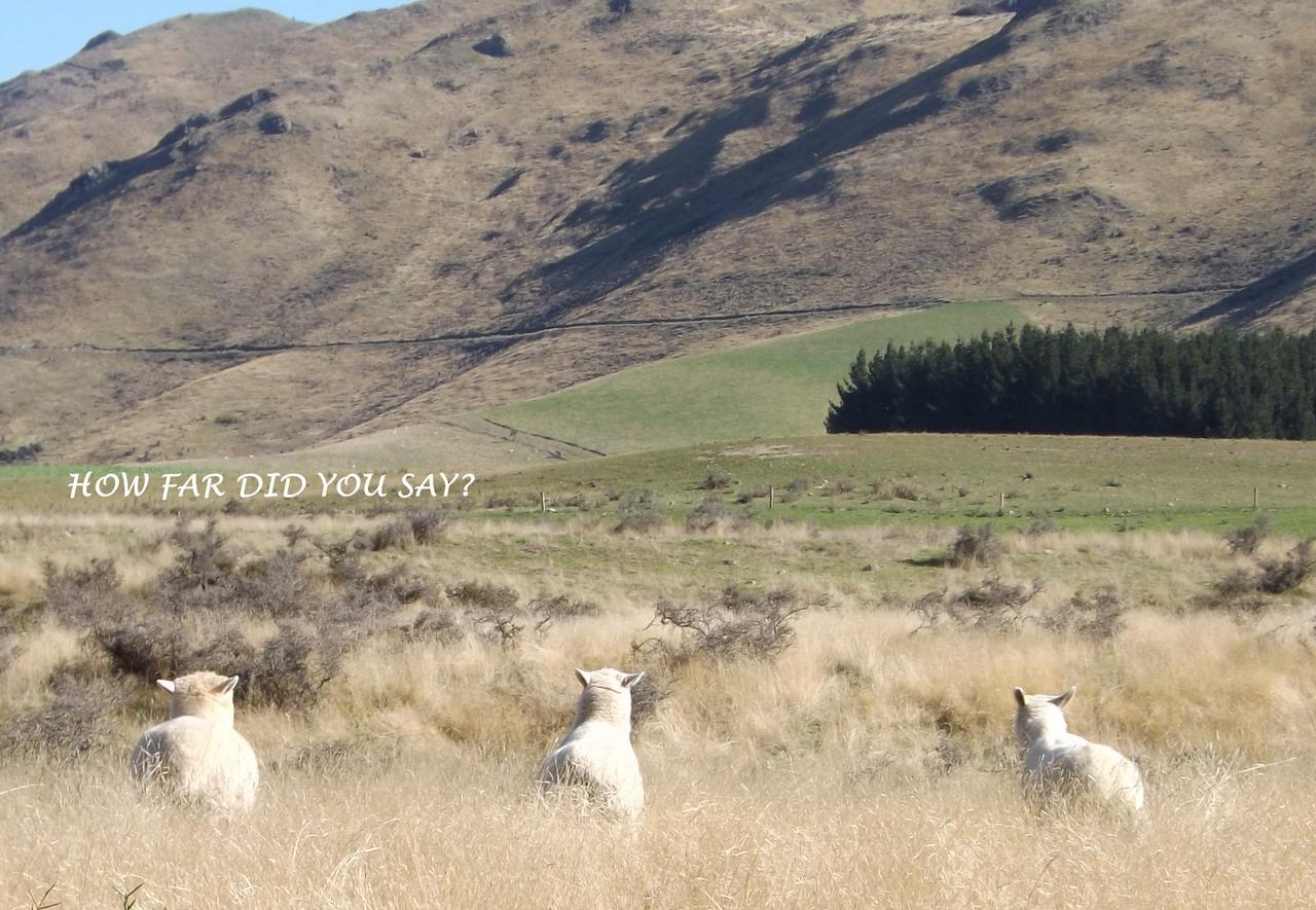 Karetu Downs Farm Stay Hawarden Bagian luar foto