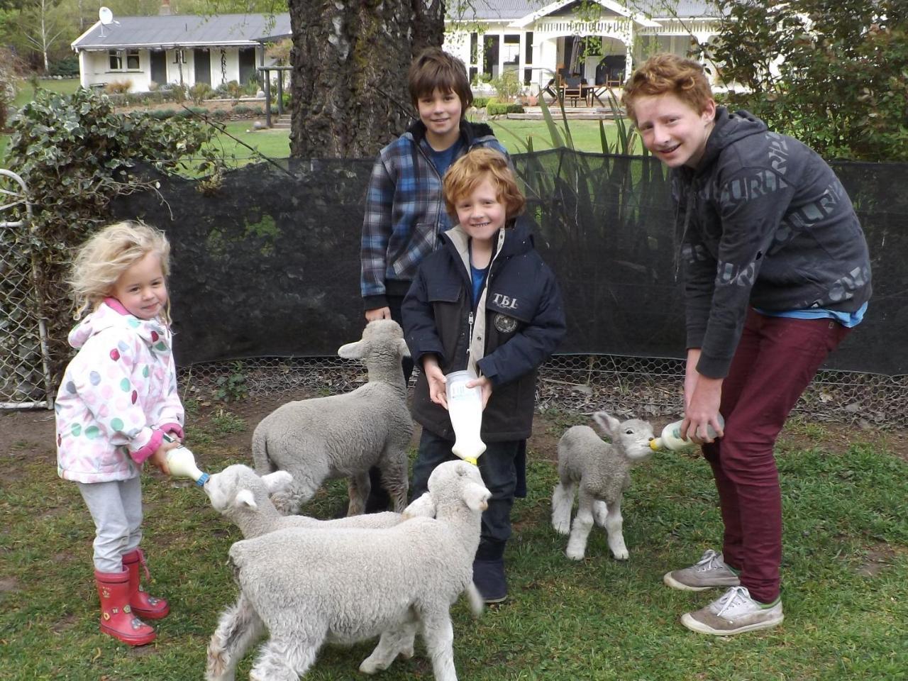 Karetu Downs Farm Stay Hawarden Bagian luar foto