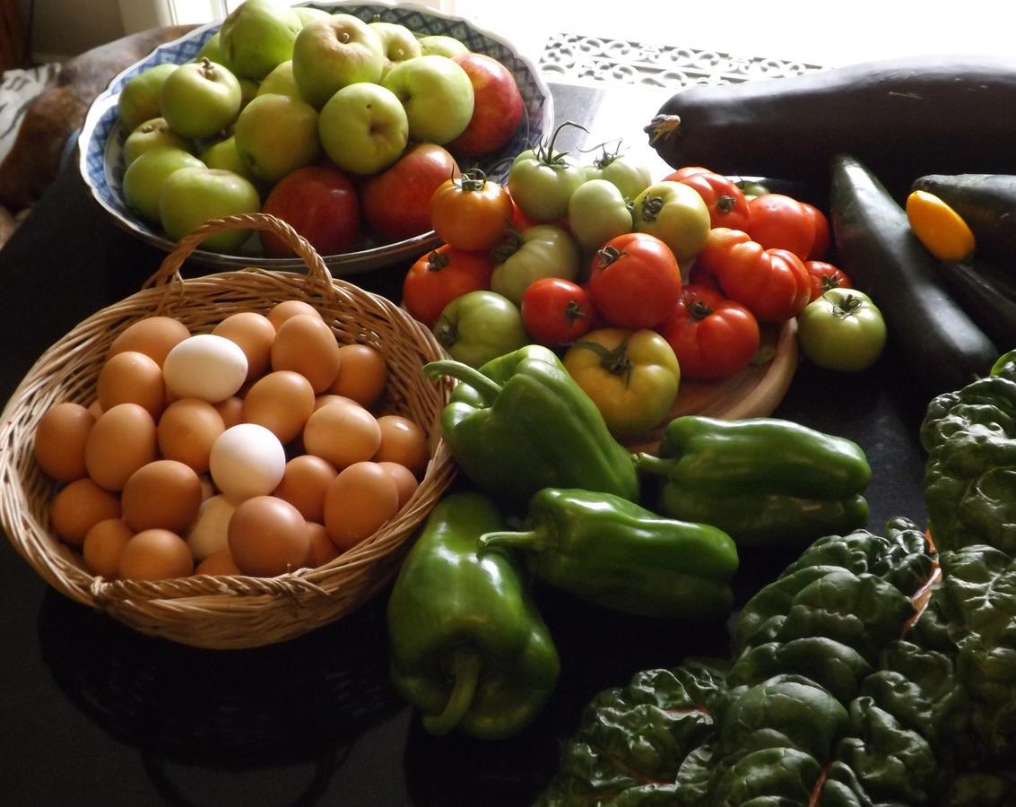 Karetu Downs Farm Stay Hawarden Bagian luar foto